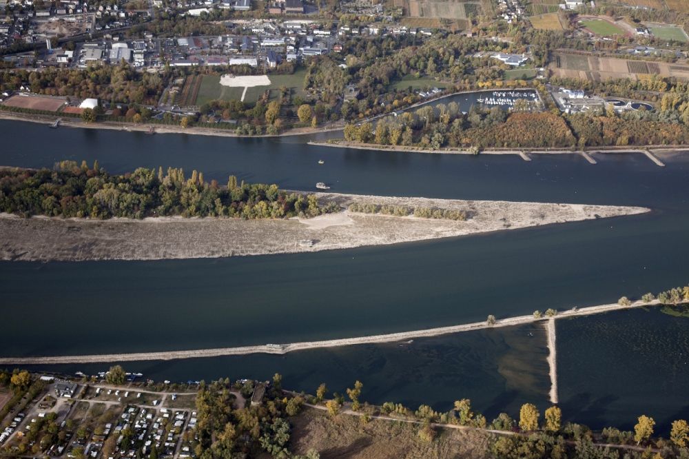 Luftaufnahme Rüdesheim am Rhein - Uferbereiche mit durch Niedrig- Wasser- Pegel freigelegten Flußbett im Rhein in Rüdesheim am Rhein im Bundesland Hessen, Deutschland