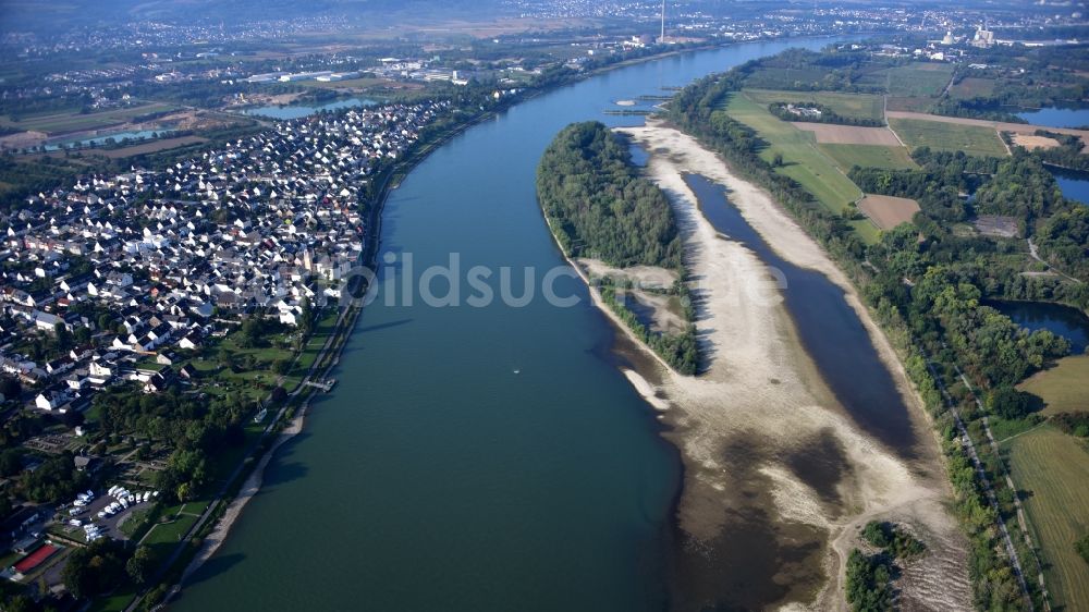 Luftaufnahme Neuwied - Uferbereiche mit durch Niedrig- Wasser- Pegel freigelegten Flußbett des Rhein am Urmitzer Werth in Neuwied im Bundesland Rheinland-Pfalz, Deutschland