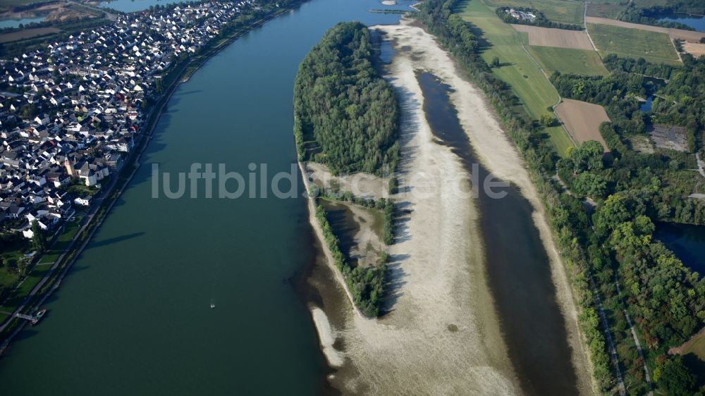 Neuwied von oben - Uferbereiche mit durch Niedrig- Wasser- Pegel freigelegten Flußbett des Rhein am Urmitzer Werth in Neuwied im Bundesland Rheinland-Pfalz, Deutschland