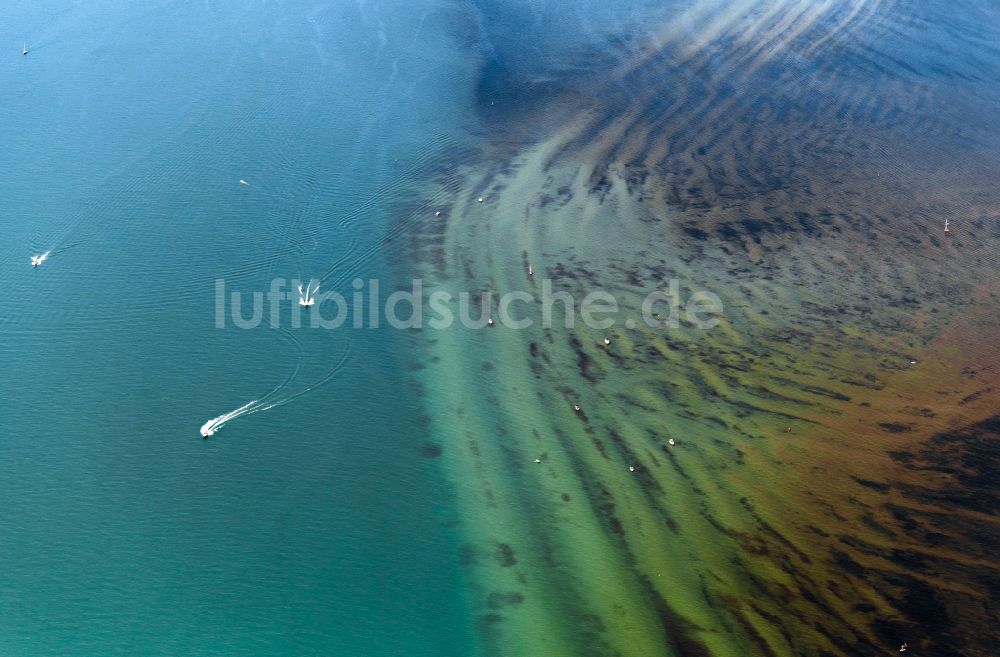 88097 Eriskirch von oben - Uferbereiche entlang der Fluss- Mündung der Schussen in den Bodensee in Eriskirch im Bundesland Baden-Württemberg, Deutschland