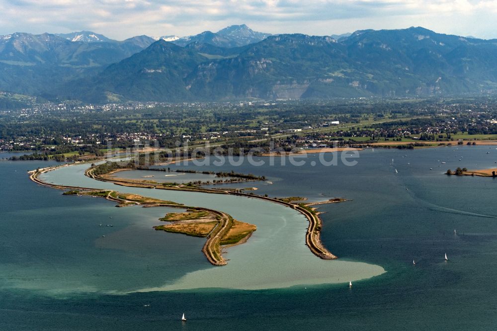 Hard aus der Vogelperspektive: Uferbereiche entlang der Fluss- Mündung des Rhein in den Bodensee in Hard in Vorarlberg, Österreich