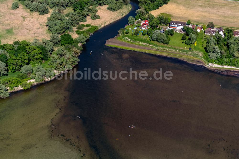 Luftbild 88097 Eriskirch - Uferbereiche entlang der Fluss- Mündung der Schussen in den Bodensee in Eriskirch im Bundesland Baden-Württemberg, Deutschland
