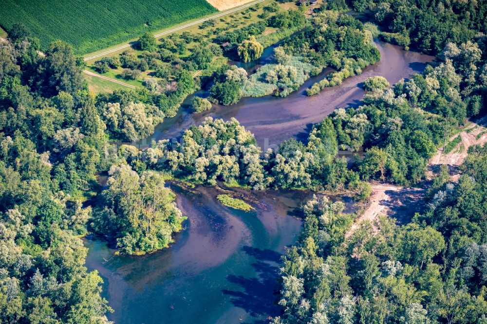Luftbild Meißenheim - Uferbereiche am Flußverlauf Altrhein in Meißenheim im Bundesland Baden-Württemberg, Deutschland