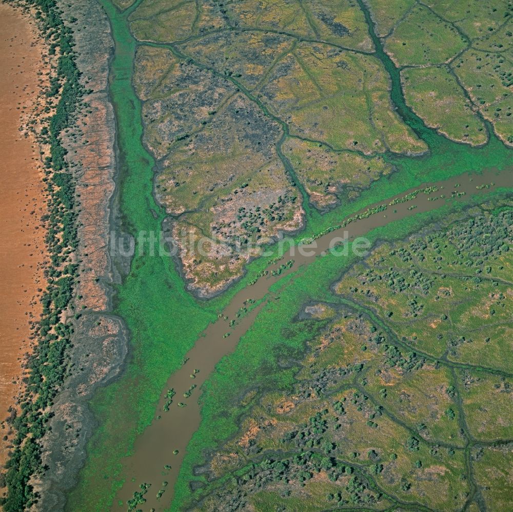 Luftaufnahme Afar - Uferbereiche am Flußverlauf Awash River im Abessinischer Graben, Ostafrikanischer Grabenbruch in Afar in Äthiopien
