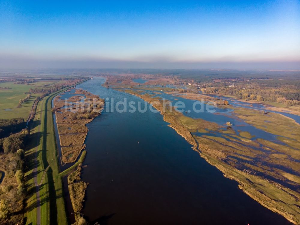 Luftaufnahme Oderaue - Uferbereiche am Flußverlauf des Grenz- Flußverlaufes der Oder in Oderaue im Bundesland Brandenburg