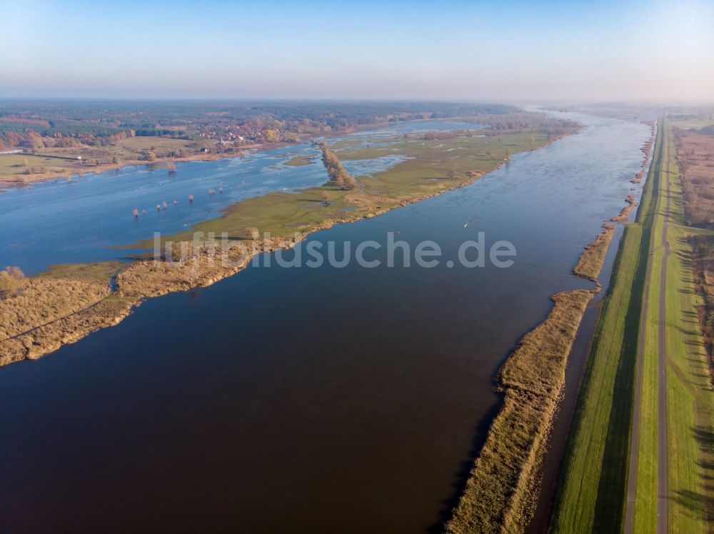 Oderaue von oben - Uferbereiche am Flußverlauf des Grenz- Flußverlaufes der Oder in Oderaue im Bundesland Brandenburg