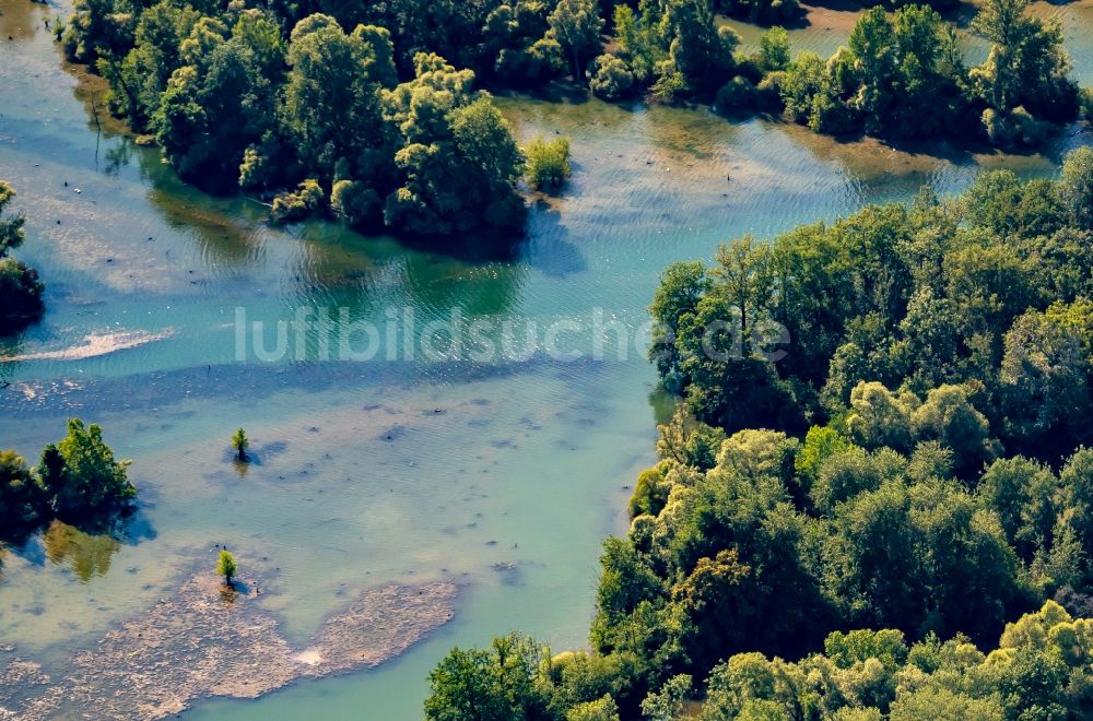 Luftaufnahme Rheinau - Uferbereiche am Flußverlauf Naturschutzgebiet Taubergießen in Rheinau im Bundesland Baden-Württemberg, Deutschland
