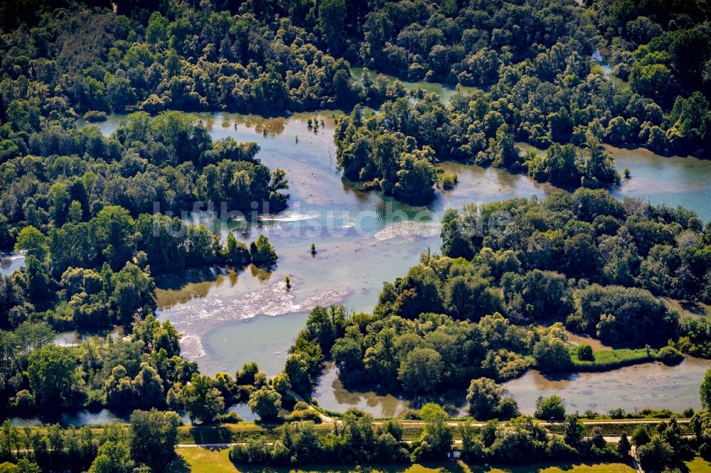Rheinau von oben - Uferbereiche am Flußverlauf Naturschutzgebiet Taubergießen in Rheinau im Bundesland Baden-Württemberg, Deutschland