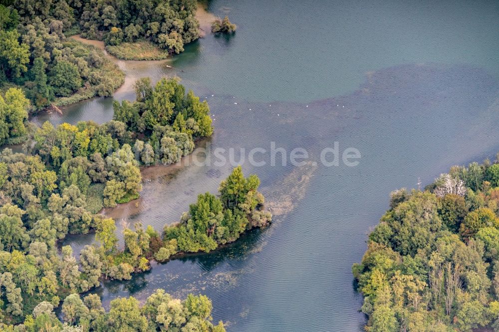 Luftbild Rheinau - Uferbereiche am Flußverlauf Naturschutzgebiet Taubergießen in Rheinau im Bundesland Baden-Württemberg, Deutschland