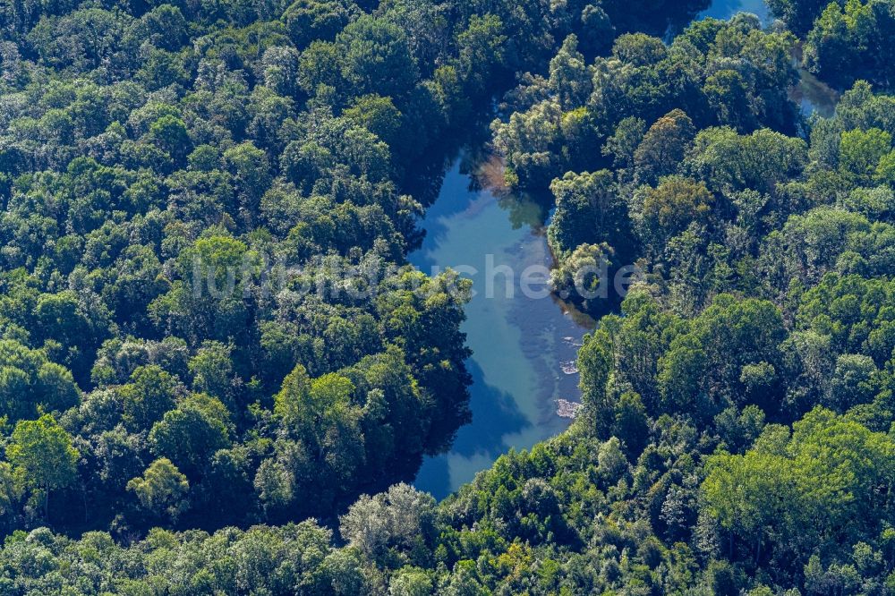 Luftbild Rheinau - Uferbereiche am Flußverlauf Naturschutzgebiet Taubergießen in Rheinau im Bundesland Baden-Württemberg, Deutschland und Frankreich