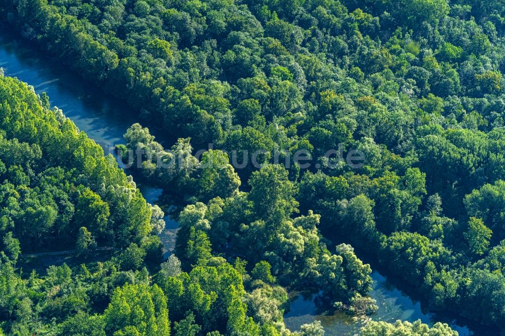 Luftaufnahme Rheinau - Uferbereiche am Flußverlauf Naturschutzgebiet Taubergießen in Rheinau im Bundesland Baden-Württemberg, Deutschland und Frankreich