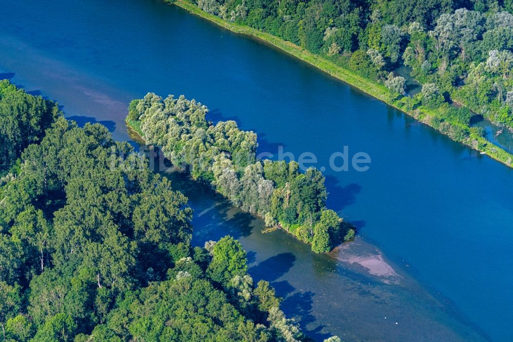 Rheinau von oben - Uferbereiche am Flußverlauf Naturschutzgebiet Taubergießen in Rheinau im Bundesland Baden-Württemberg, Deutschland und Frankreich
