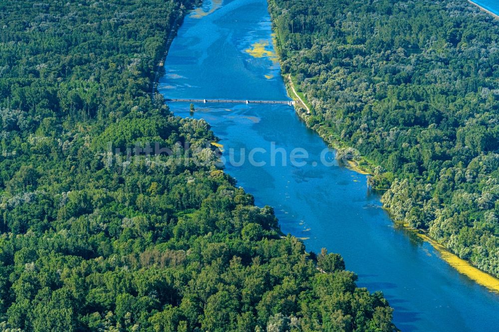 Rheinau aus der Vogelperspektive: Uferbereiche am Flußverlauf Naturschutzgebiet Taubergießen in Rheinau im Bundesland Baden-Württemberg, Deutschland und Frankreich