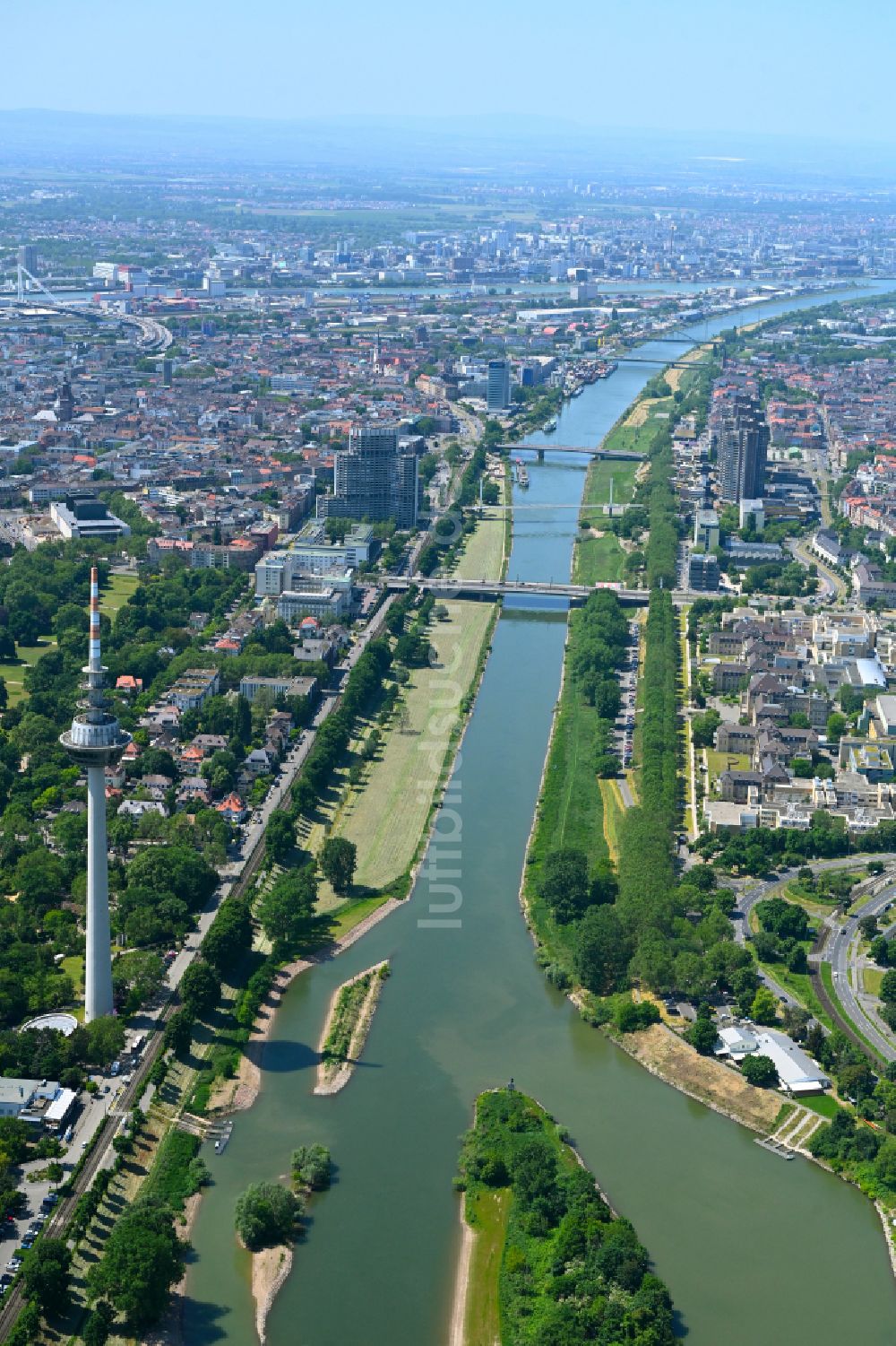 Mannheim von oben - Uferbereiche am Flußverlauf des Neckar in Mannheim im Bundesland Baden-Württemberg, Deutschland