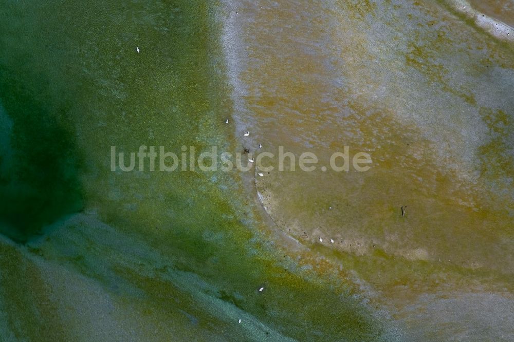 Eschenz aus der Vogelperspektive: Uferbereiche am Flußverlauf Rhein in Eschenz im Kanton Thurgau, Schweiz