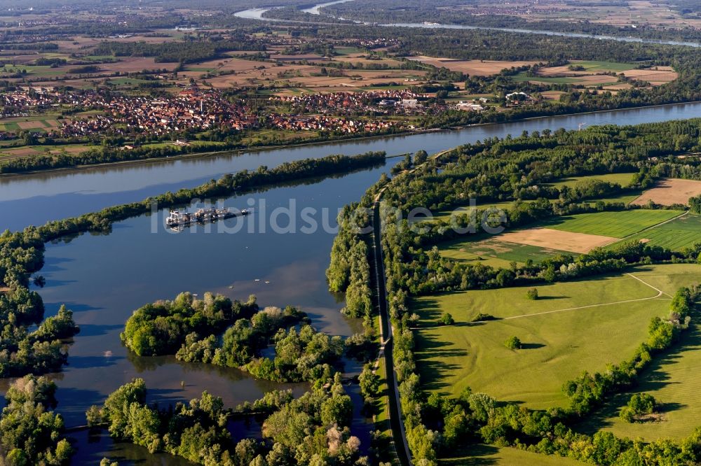 Luftaufnahme Rheinau - Uferbereiche am Flußverlauf Rhein in Rheinau im Bundesland Baden-Württemberg, Auenlandschaft Taubergiessen