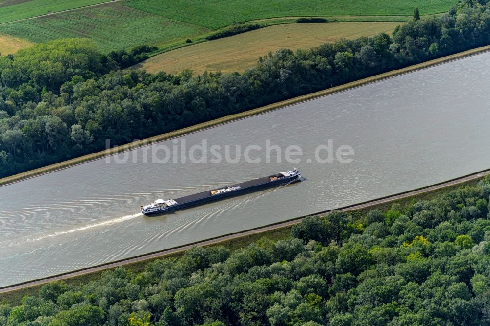 Rheinau von oben - Uferbereiche am Flußverlauf Am Rhein in Rheinau im Bundesland Baden-Württemberg, Deutschland