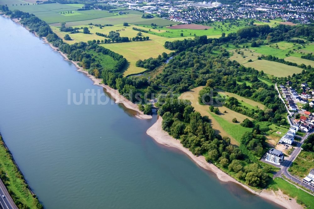 Sinzig aus der Vogelperspektive: Uferbereiche am Flußverlauf des Rhein in Sinzig im Bundesland Rheinland-Pfalz, Deutschland
