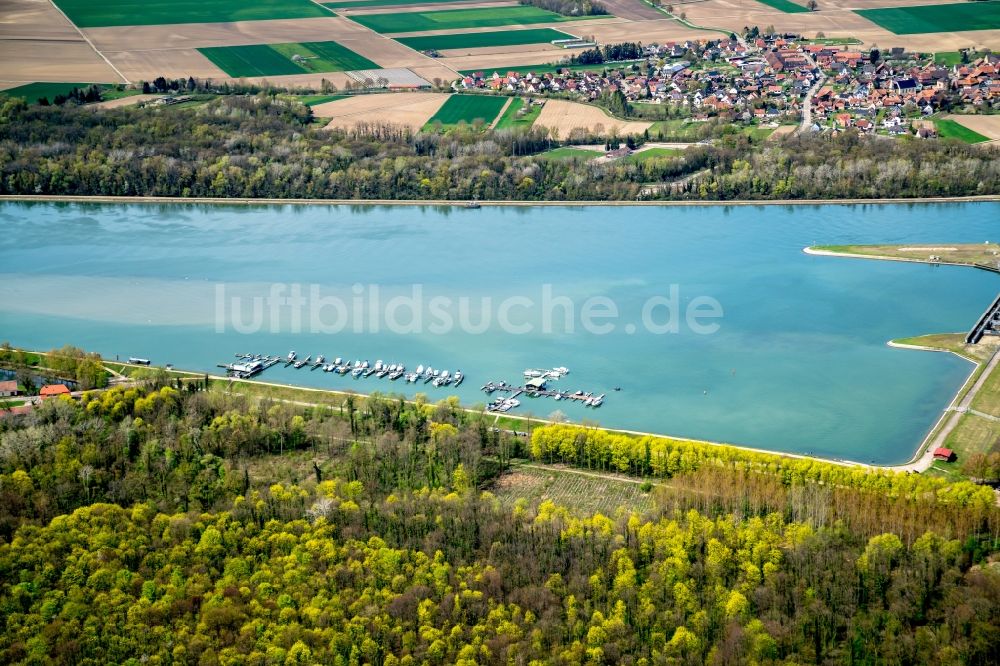 Luftbild Weisweil - Uferbereiche am Flußverlauf Rhein in Weisweil im Bundesland Baden-Württemberg, Deutschland