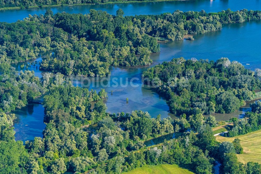 Luftaufnahme Rhinau - Uferbereiche am Flußverlauf Taubergießen Herrentopf am Oberrhein in Rheinau im Bundesland Baden-Württemberg, Deutschland