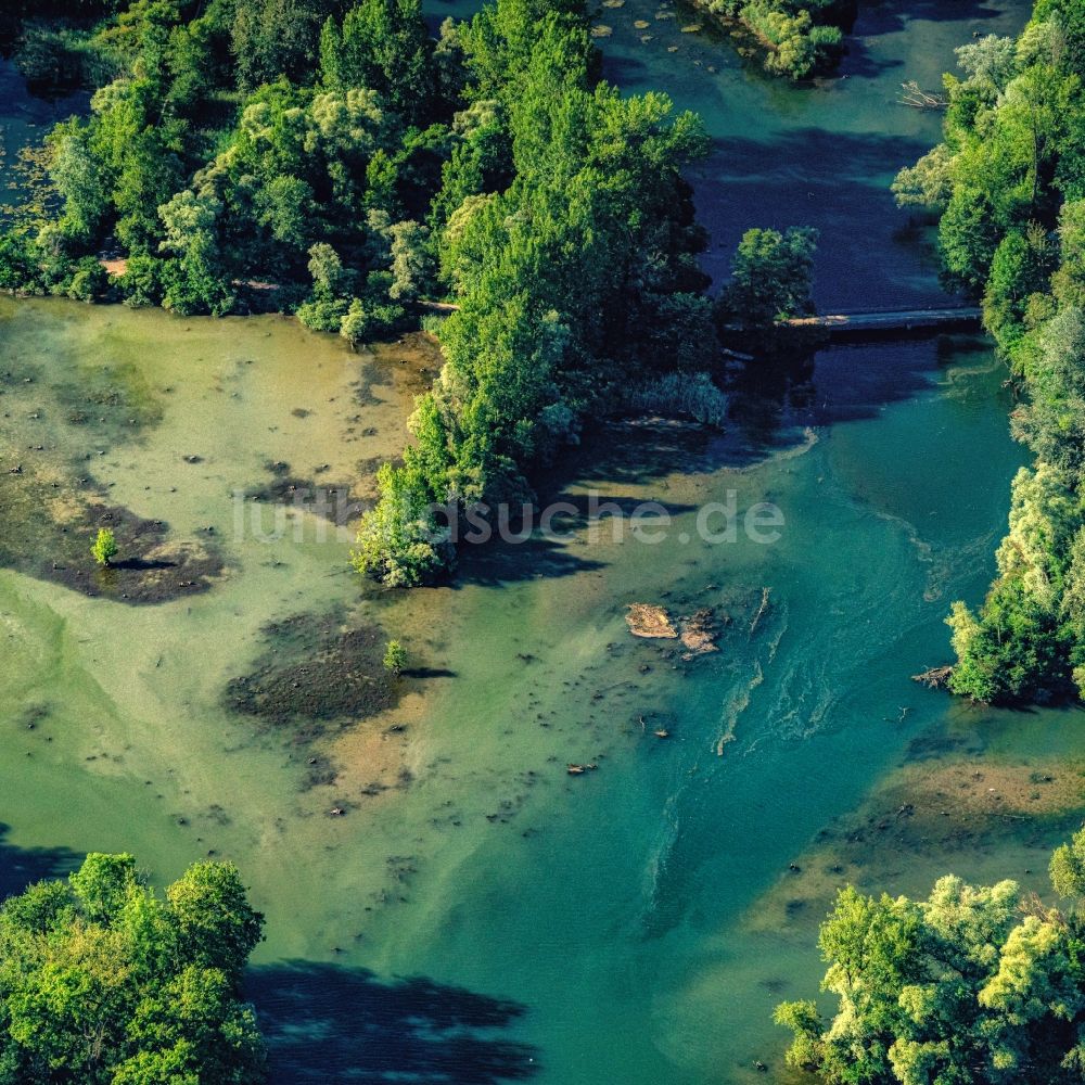 Luftbild Rhinau - Uferbereiche am Flußverlauf Taubergießen Herrentopf am Oberrhein in Rheinau im Bundesland Baden-Württemberg, Deutschland