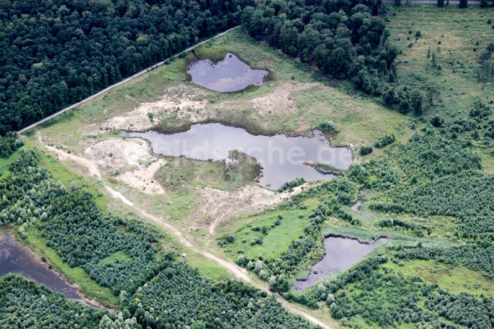 Foret de Haguenau von oben - Uferbereiche eines gefluteten ehemaligen Abbau- Tagebaus und Renaturierungs- See in Foret de Haguenau in Grand Est, Frankreich