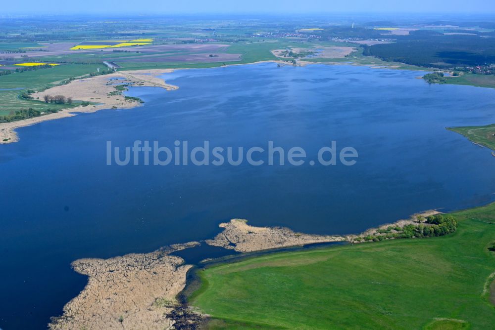 Havelaue von oben - Uferbereiche des Gülper See in Havelaue im Bundesland Brandenburg, Deutschland