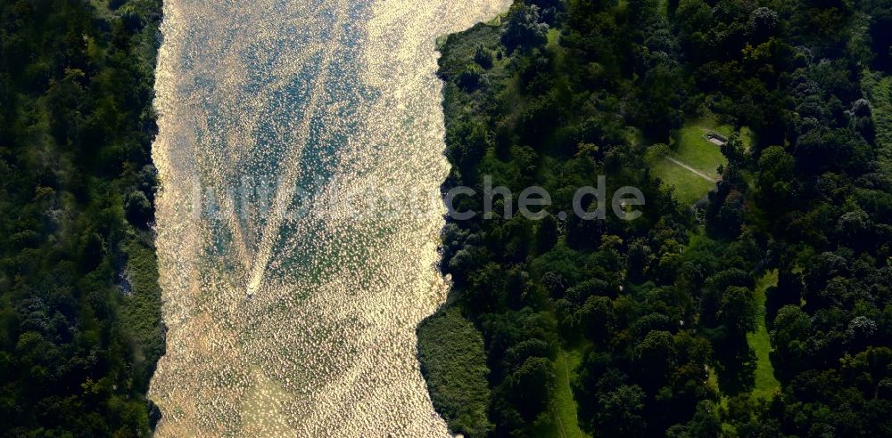 Havelaue aus der Vogelperspektive: Uferbereiche am Havel Flußverlauf in Havelaue im Bundesland Brandenburg, Deutschland
