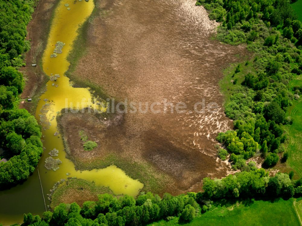 Luftaufnahme Hochdorf - Uferbereiche des Lindenweiher in Hochdorf im Bundesland Baden-Württemberg, Deutschland