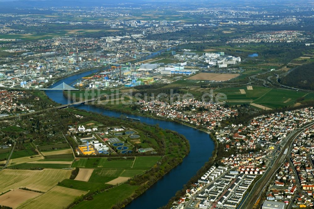 Kelsterbach aus der Vogelperspektive: Uferbereiche am Main Flußverlauf in Kelsterbach im Bundesland Hessen, Deutschland