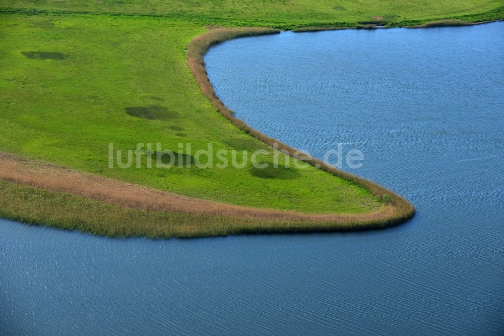 Luftbild Warnitz - Uferbereiche des Oberuckersee bei Warnitz in der Uckermark im Bundesland Brandenburg