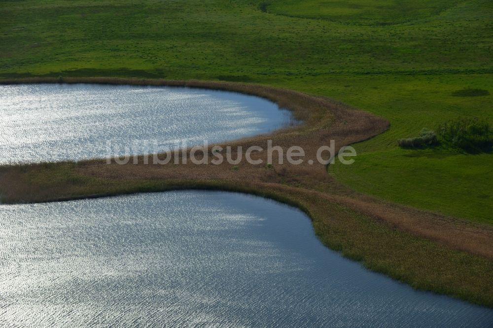 Luftaufnahme Warnitz - Uferbereiche des Oberuckersee bei Warnitz in der Uckermark im Bundesland Brandenburg