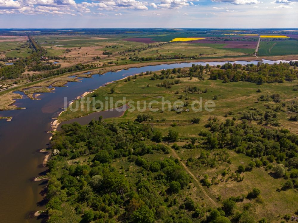 Küstriner Vorland aus der Vogelperspektive: Uferbereiche am Oder - Flußverlauf in Küstriner Vorland in Lubuskie Lebus, Polen