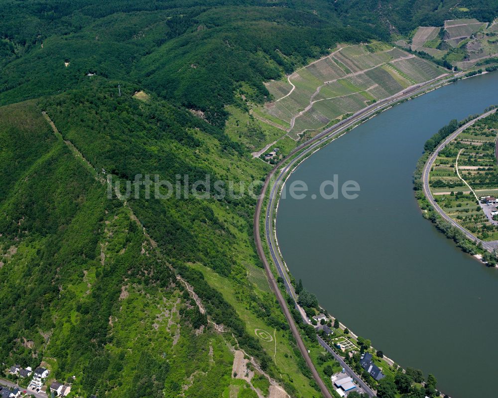 Boppard von oben - Uferbereiche am des Rhein - Flußverlauf in Boppard im Bundesland Rheinland-Pfalz, Deutschland