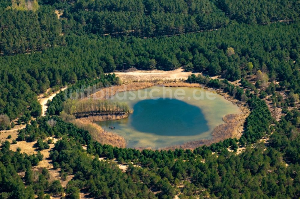 Müllrose aus der Vogelperspektive: Uferbereiche eines runden Sees in einem Waldgebiet in Müllrose im Bundesland Brandenburg, Deutschland
