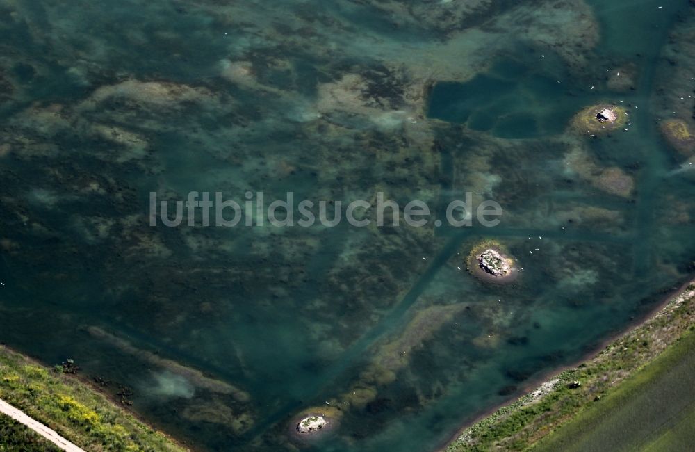 Alperstedt aus der Vogelperspektive: Uferbereiche des Sees Alperstedter See in Alperstedt im Bundesland Thüringen, Deutschland