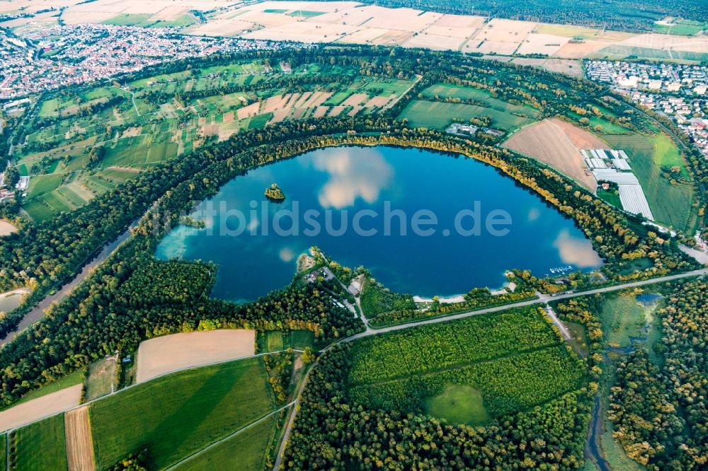 Luftaufnahme Eggenstein-Leopoldshafen - Uferbereiche eines Sees am Althrein in einem Waldgebiet in Eggenstein-Leopoldshafen im Bundesland Baden-Württemberg, Deutschland
