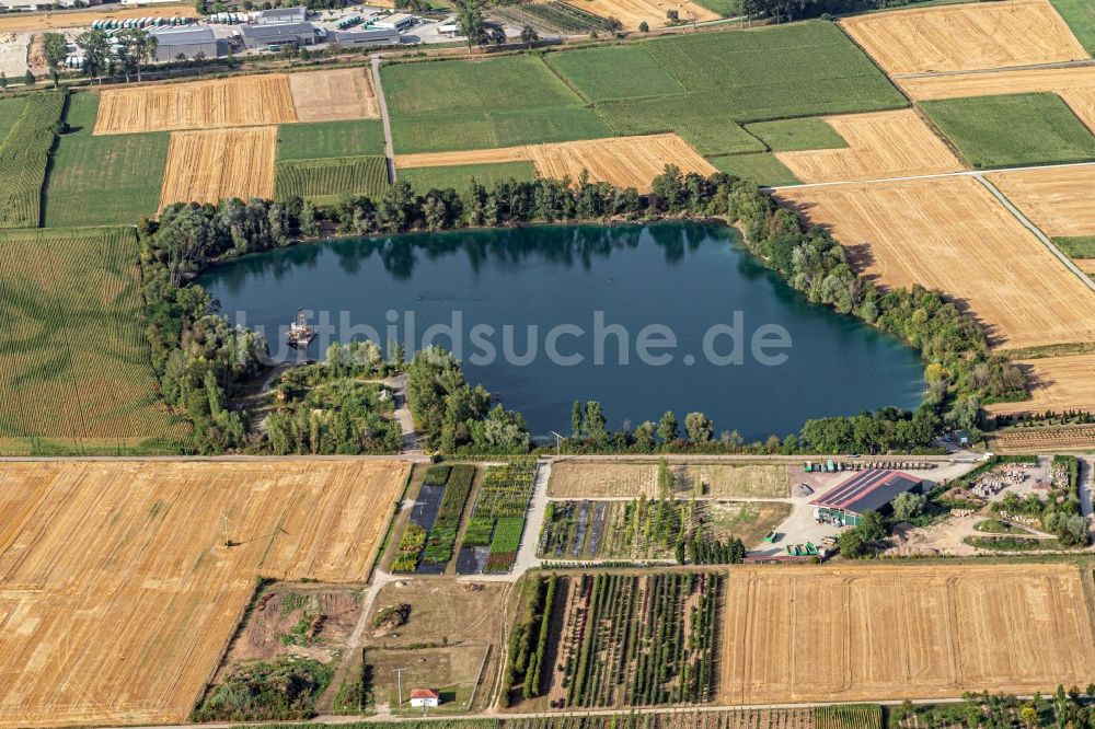 Luftaufnahme Ettenheim - Uferbereiche des Sees Apostelsee in Ettenheim im Bundesland Baden-Württemberg, Deutschland