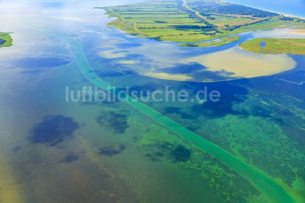 Zingst von oben - Uferbereiche des Sees Barther Bodden - Großer Werder in Zingst im Bundesland Mecklenburg-Vorpommern, Deutschland