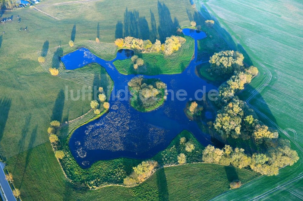 Luftaufnahme Beggerow - Uferbereiche des Sees in Beggerow im Bundesland Mecklenburg-Vorpommern, Deutschland