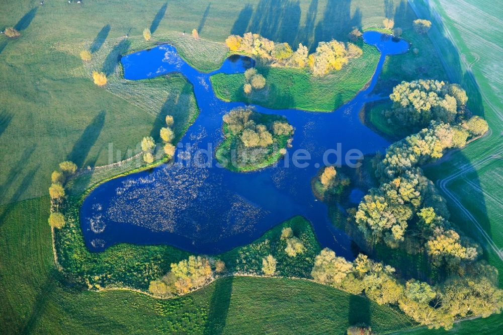 Beggerow von oben - Uferbereiche des Sees in Beggerow im Bundesland Mecklenburg-Vorpommern, Deutschland