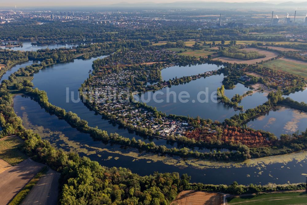 Altrip aus der Vogelperspektive: Uferbereiche des Sees Blaue Adria und des Neuhofener Altrheins mit Naherholungsgebiet in Altrip im Bundesland Rheinland-Pfalz