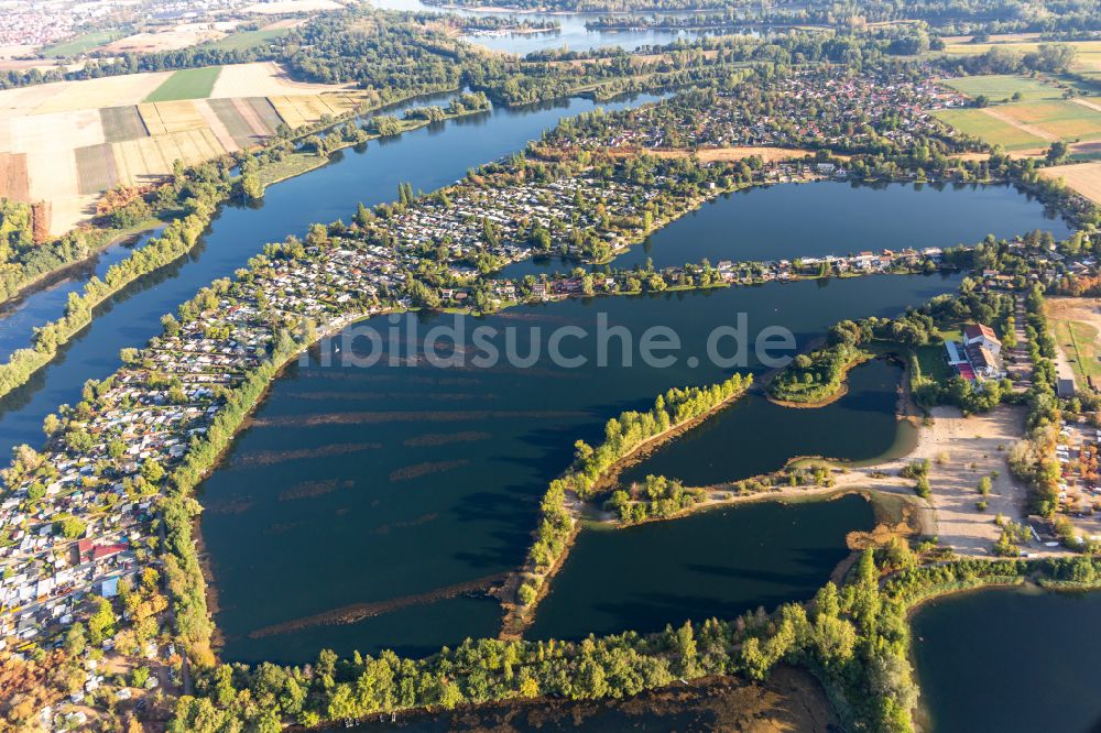 Altrip von oben - Uferbereiche des Sees Blaue Adria und des Neuhofener Altrheins mit Naherholungsgebiet in Altrip im Bundesland Rheinland-Pfalz