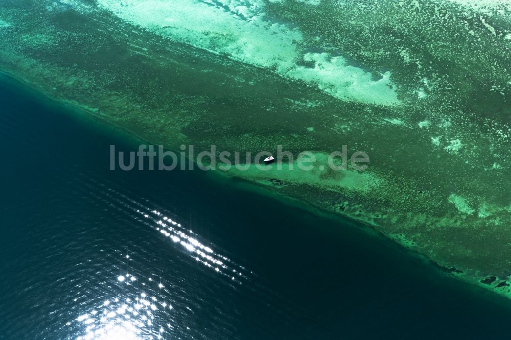 Luftbild Münsterlingen - Uferbereiche des Sees Bodensee Obersee in Münsterlingen im Kanton Thurgau, Schweiz