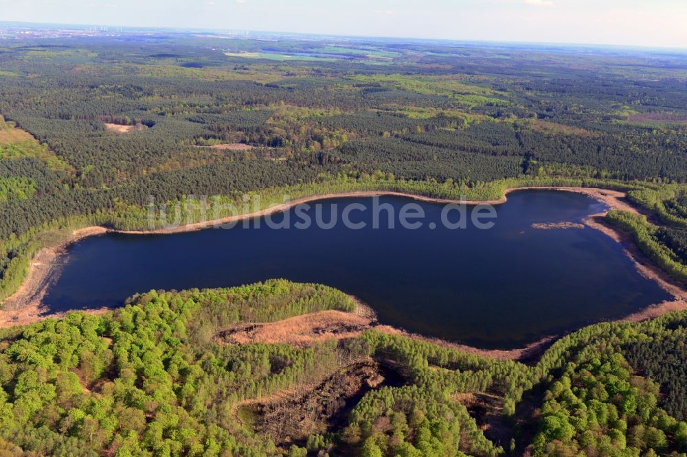 Luftbild Temmen-Ringenwalde - Uferbereiche des Sees Briesensee in Temmen-Ringenwalde im Bundesland Brandenburg