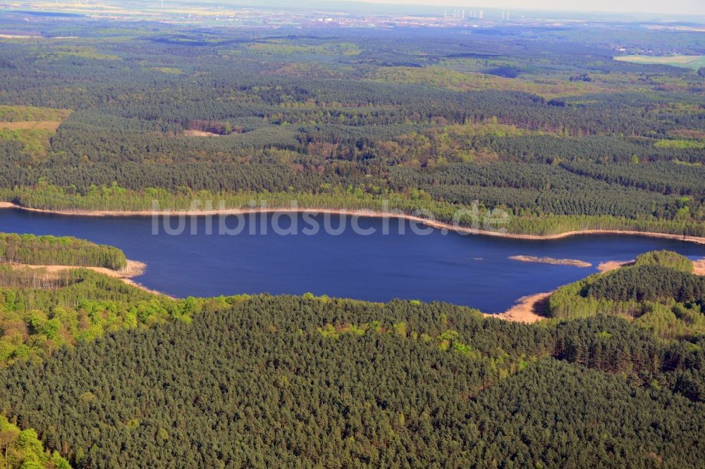 Luftaufnahme Temmen-Ringenwalde - Uferbereiche des Sees Briesensee in Temmen-Ringenwalde im Bundesland Brandenburg