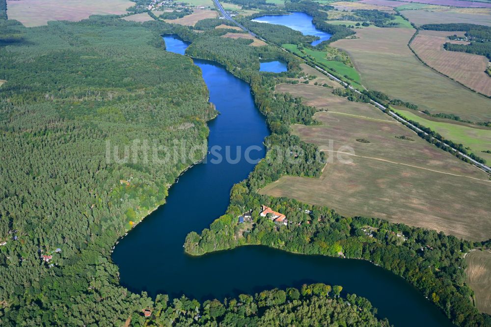 Luftbild Werbellin - Uferbereiche des Sees Üdersee in einem Waldgebiet in Werbellin im Bundesland Brandenburg, Deutschland