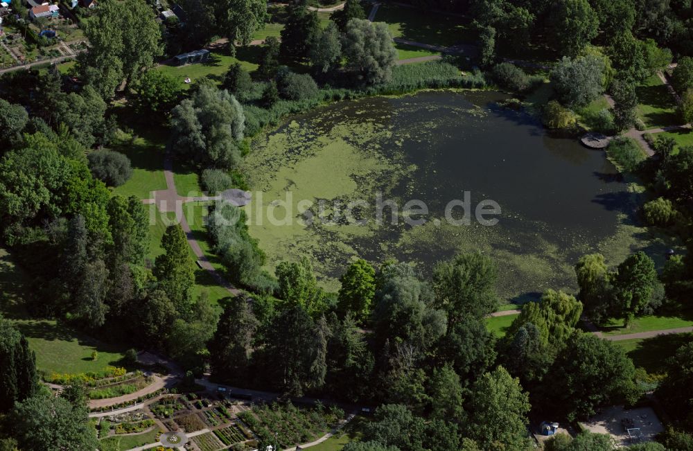 Braunschweig aus der Vogelperspektive: Uferbereiche des Sees Dowesee in einem Waldgebiet in Braunschweig im Bundesland Niedersachsen, Deutschland