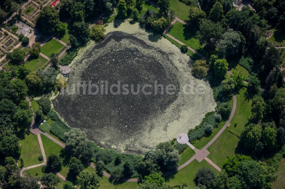 Luftaufnahme Braunschweig - Uferbereiche des Sees Dowesee in einem Waldgebiet in Braunschweig im Bundesland Niedersachsen, Deutschland