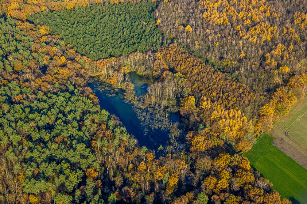 Luftaufnahme Kirchhellen - Uferbereiche des Sees Elsbachsee in Kirchhellen im Bundesland Nordrhein-Westfalen, Deutschland